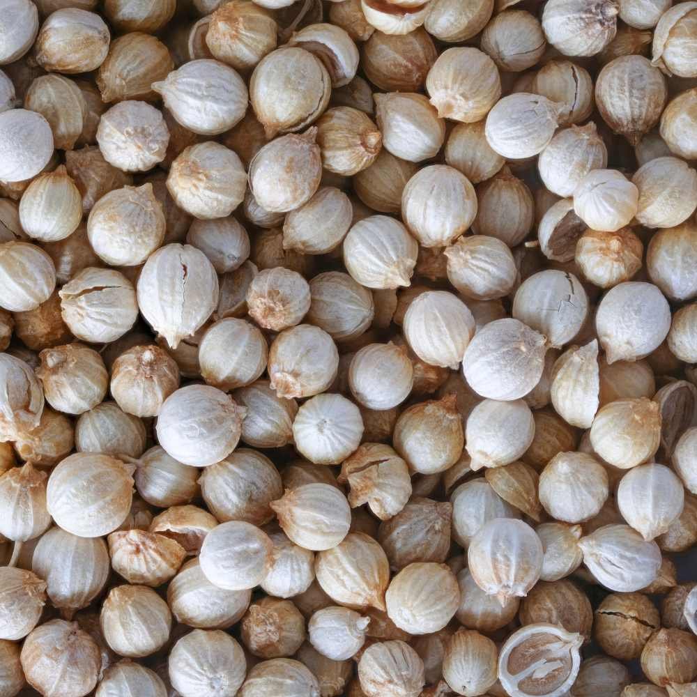 Coriander Seeds